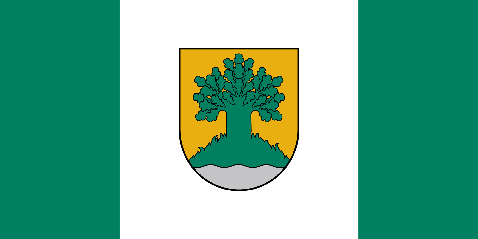 Apstiprināts Valmieras novada karogs