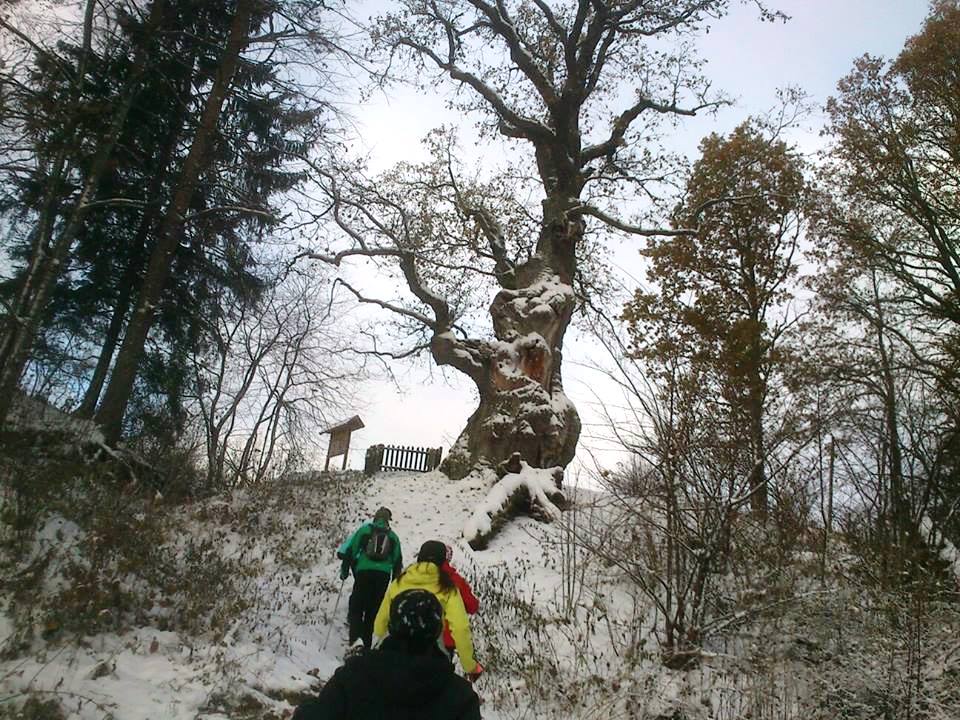 Ar divriteni gar Gauju