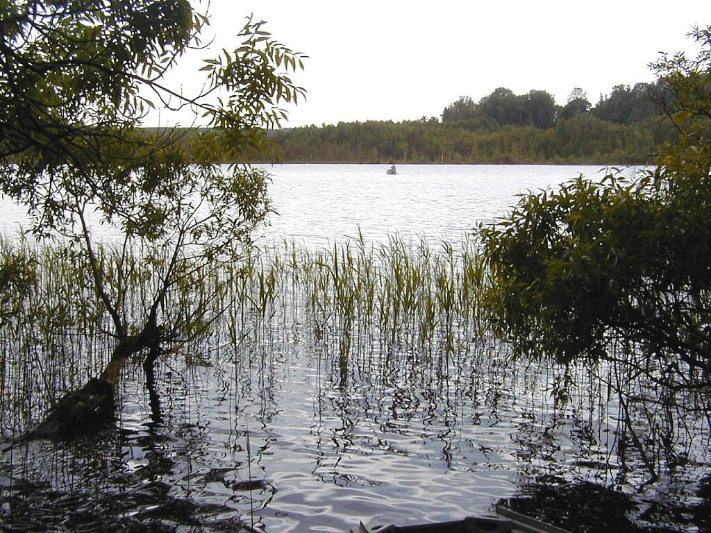 Ar smaidu…