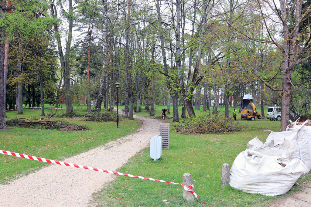 Arī Jāņparkā nu koki augs apkopti