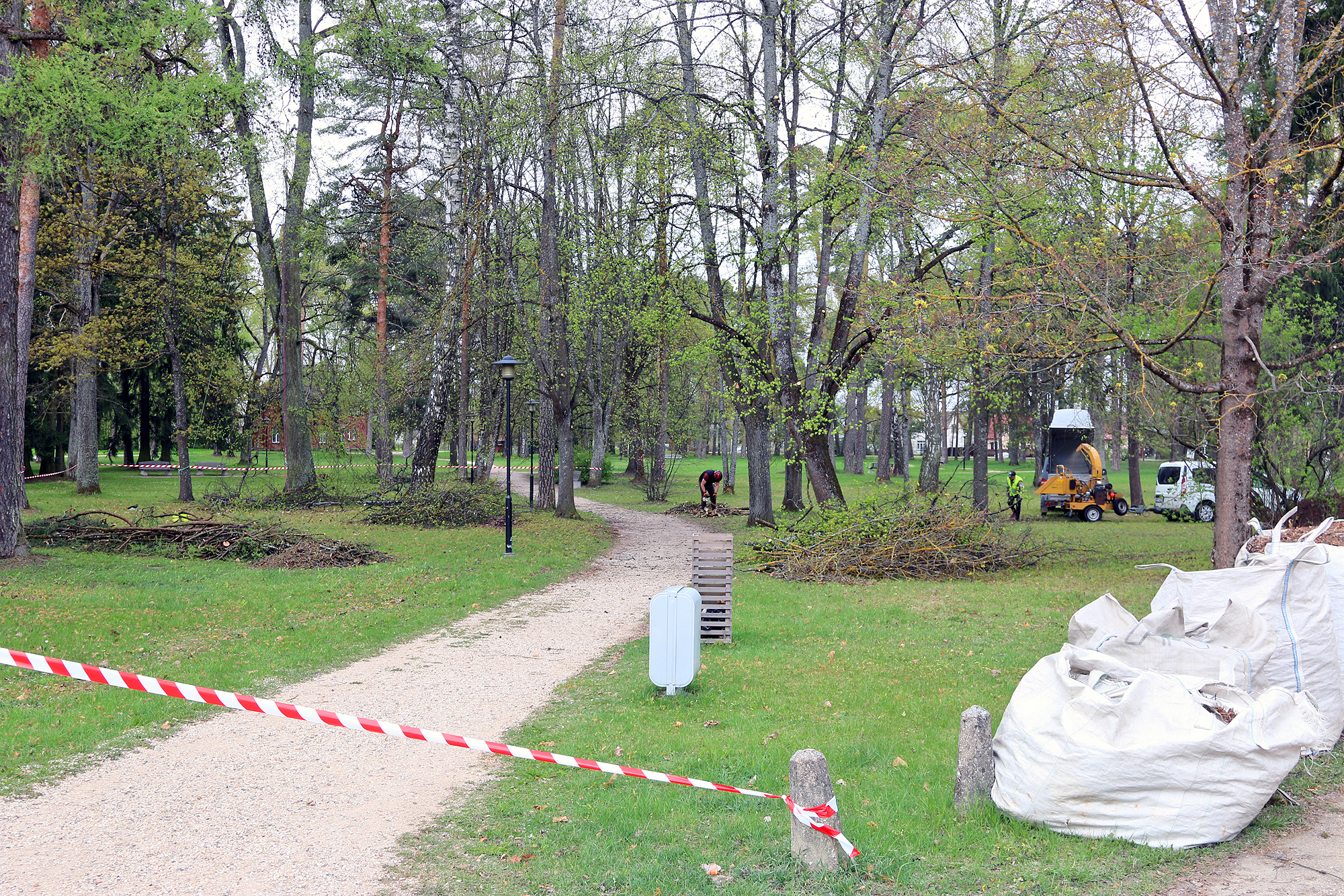 Arī Jāņparkā nu koki augs apkopti