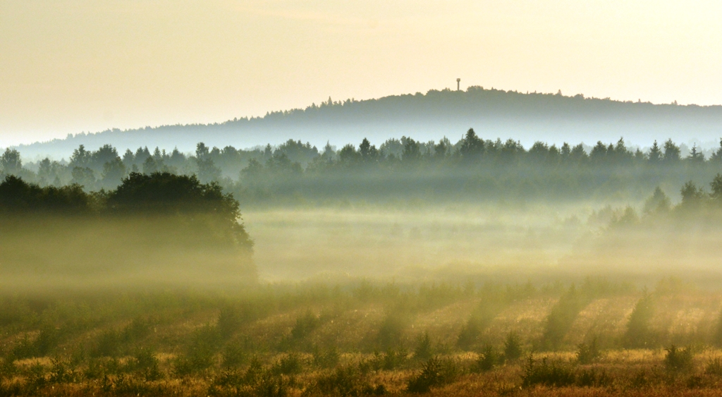 Arī Zilākalnā atzīmēs Baltu vienības dienu