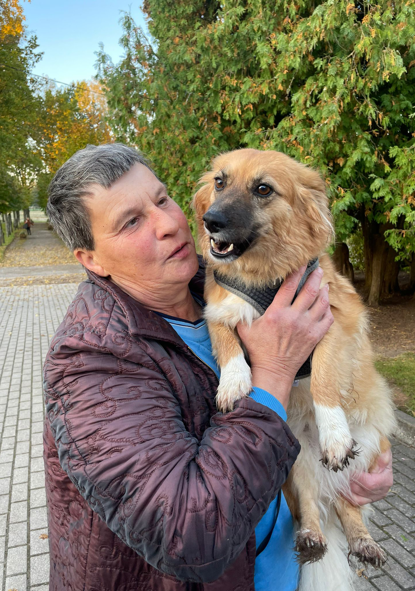 Augšup vērstie mīlestības radari