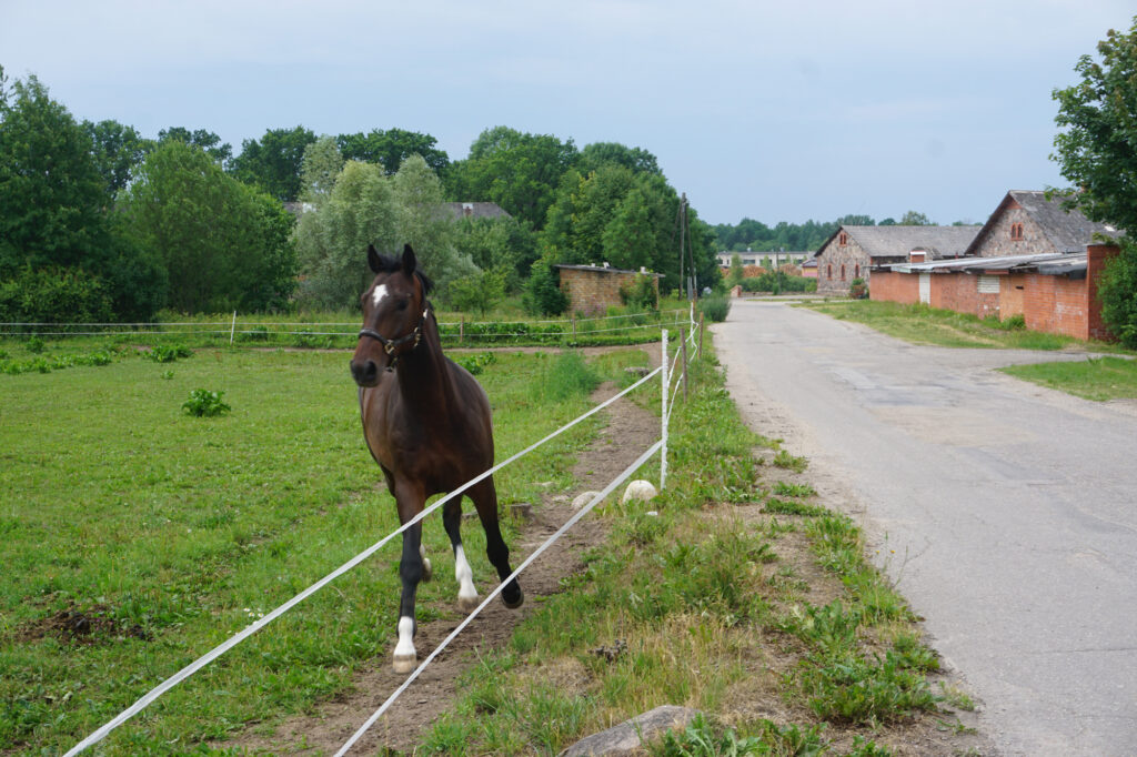 Bija Oktobra, Pionieru un Jāņa Vintēna iela… Kādas būs vietā?