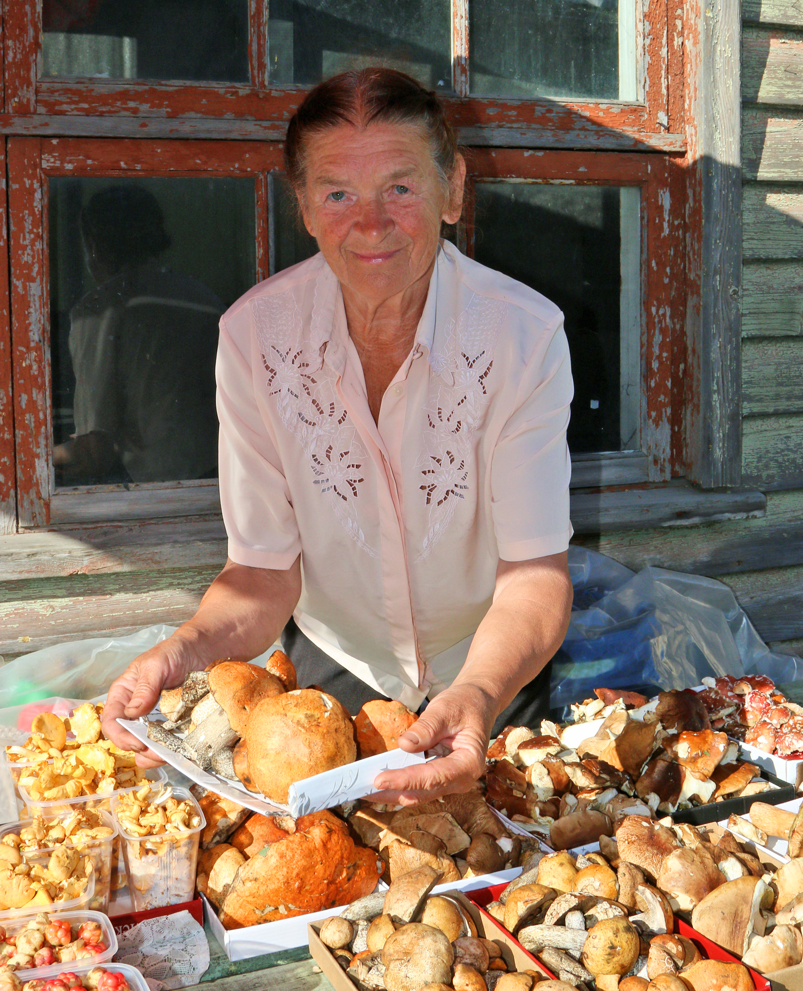 Cik maksā baravikas?