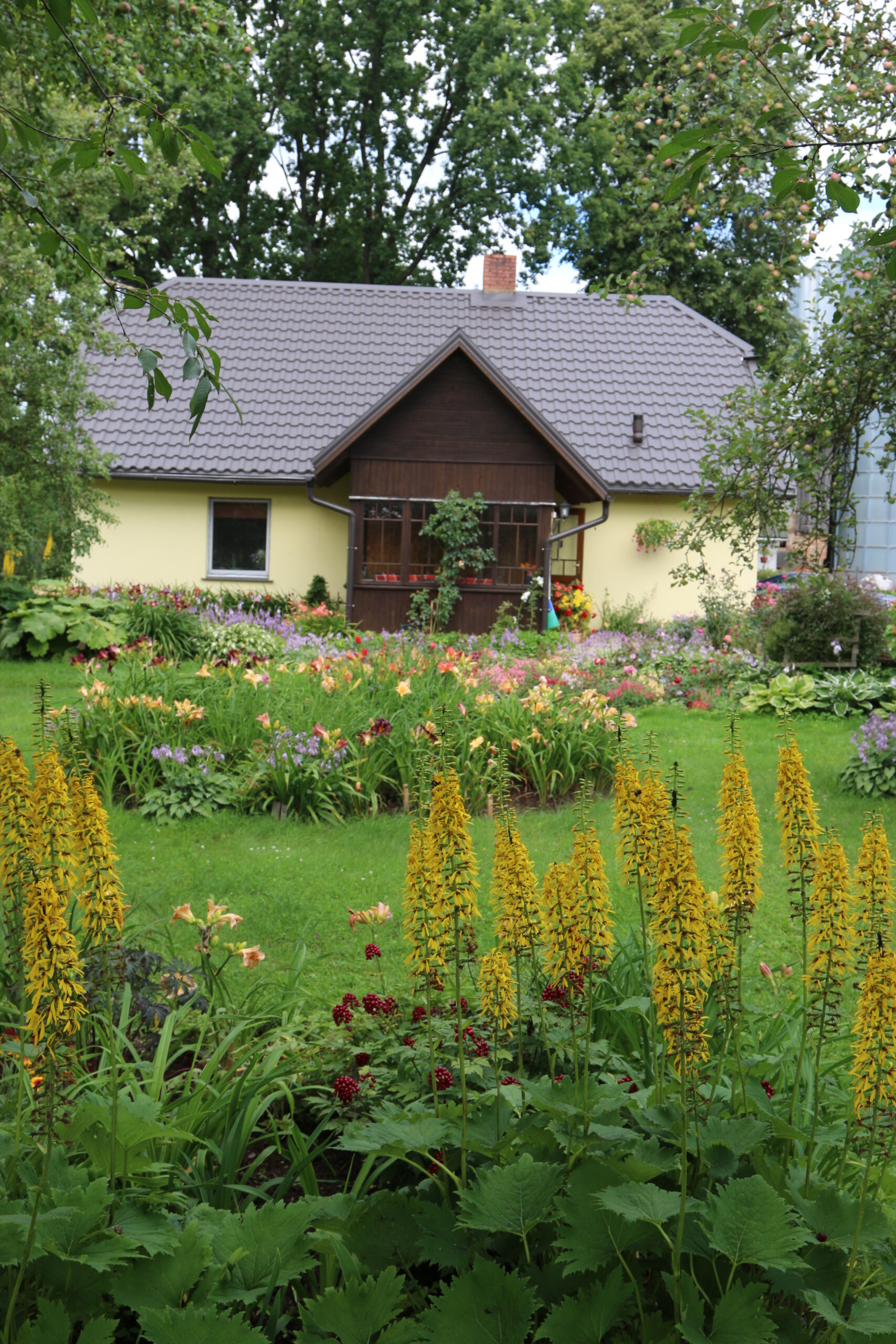 «Cīruļu» daiļdārzā – flokšu ziedēšanas laikā