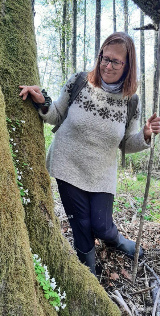 Dagnijas ziemeļu vilinājums