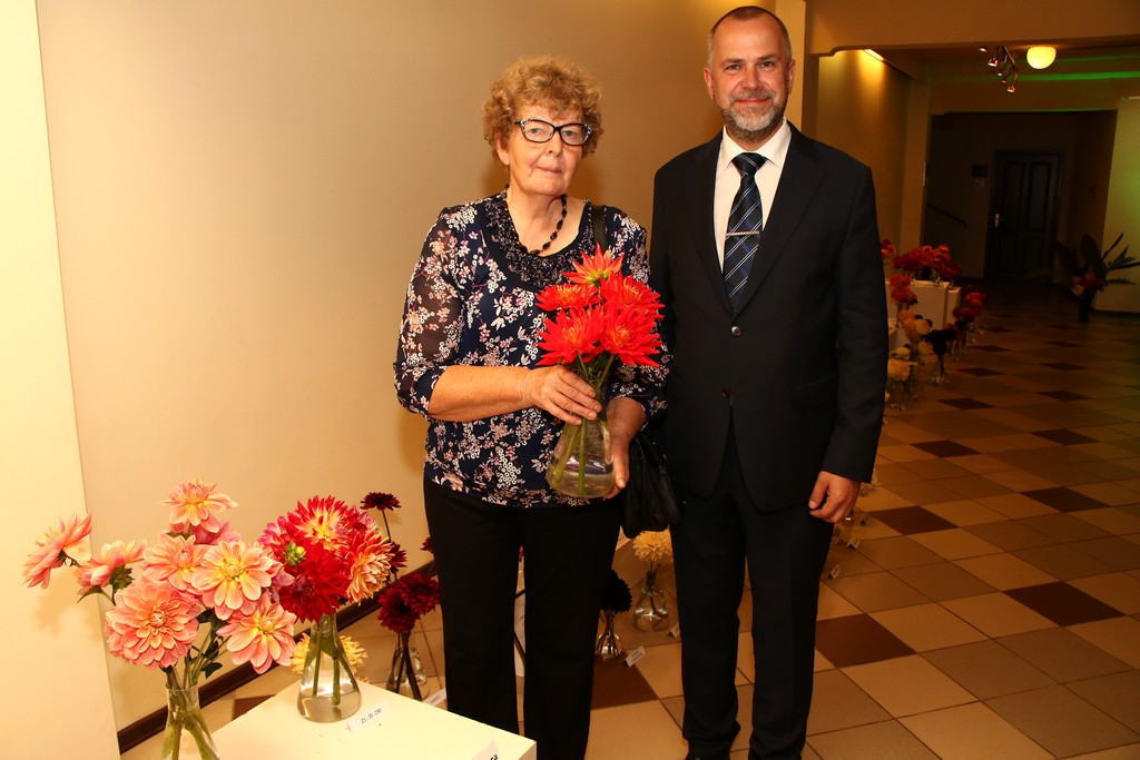 Dāvanā dāliju šķirne «Valmiera»