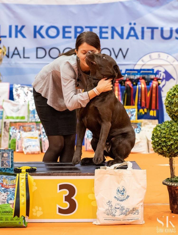 Dzīvesstils – ik solī blakus suņiem