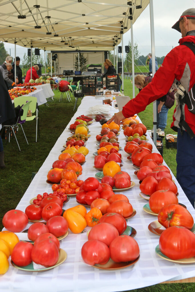 Godā tomāti, paprika, asie pipari, baklažāni, pat vietējie arbūzi un melones