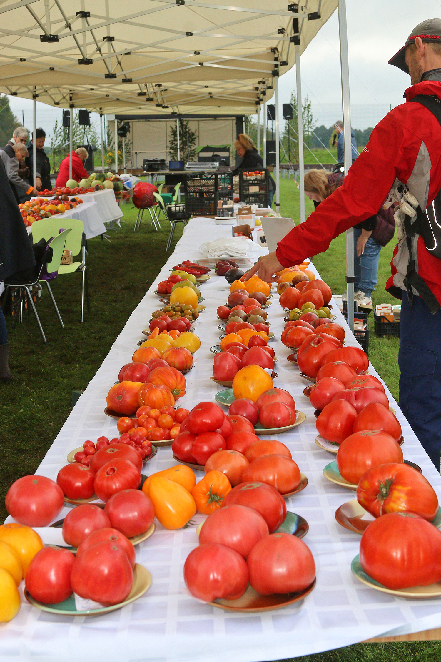Godā tomāti, paprika, asie pipari, baklažāni, pat vietējie arbūzi un melones