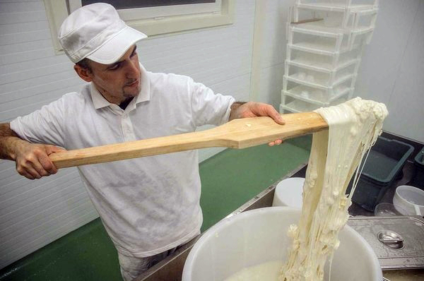 Inovatīva lopkopības produkcijas ražošana