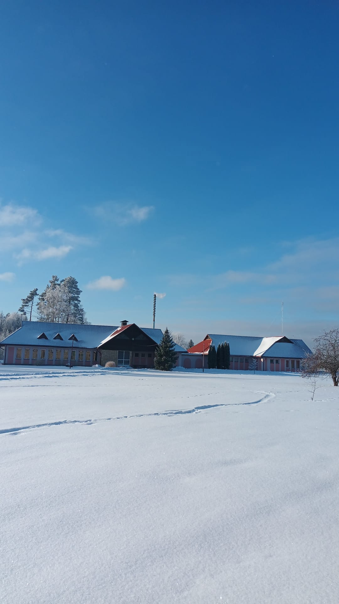 Ipiķos stāda hortenzijas un draudzējas ar igauņiem