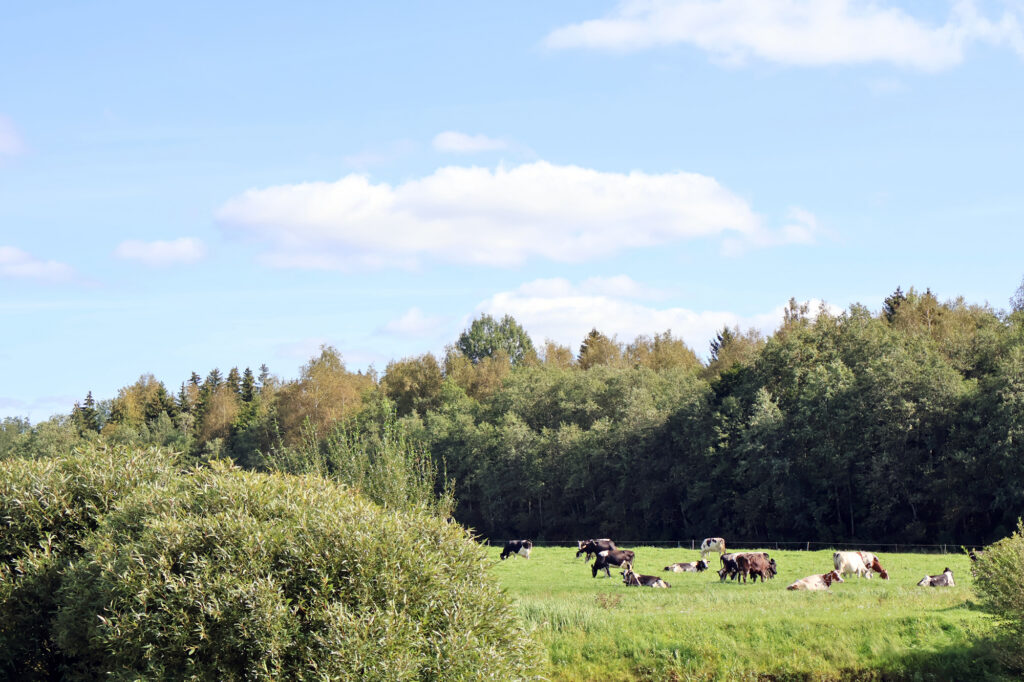 Jo leknāki zālāji – jo ilgākas ganības