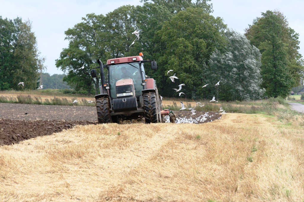 Kad daba maina plānus