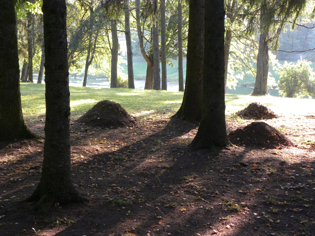 Karātavu kalniņa Labais gariņš