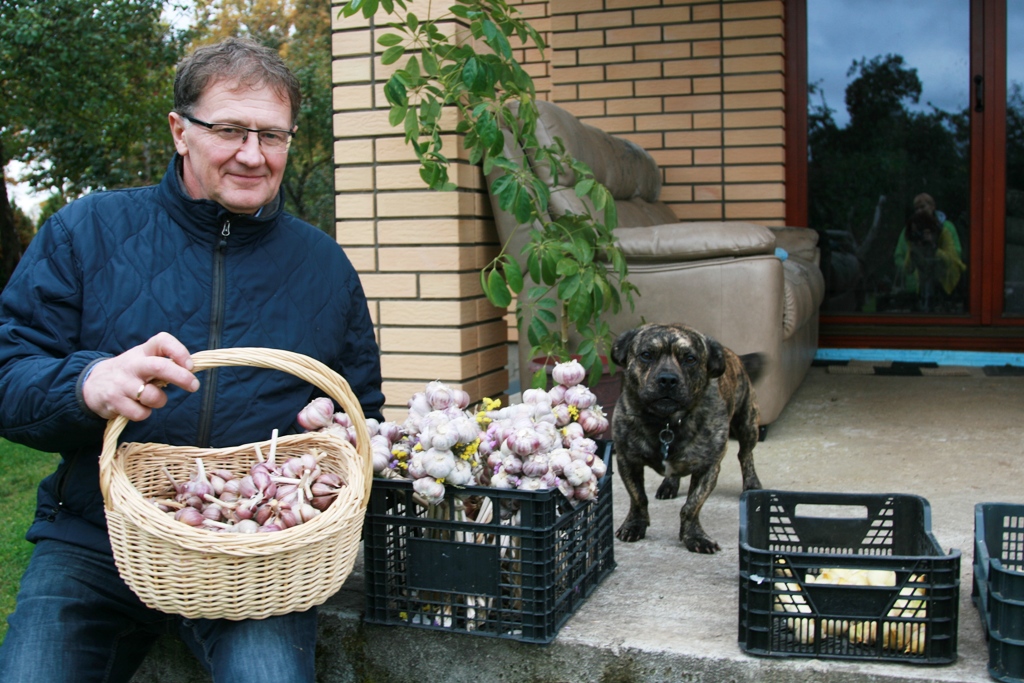 Ķiploku pavēlnieks no Valmiermuižas