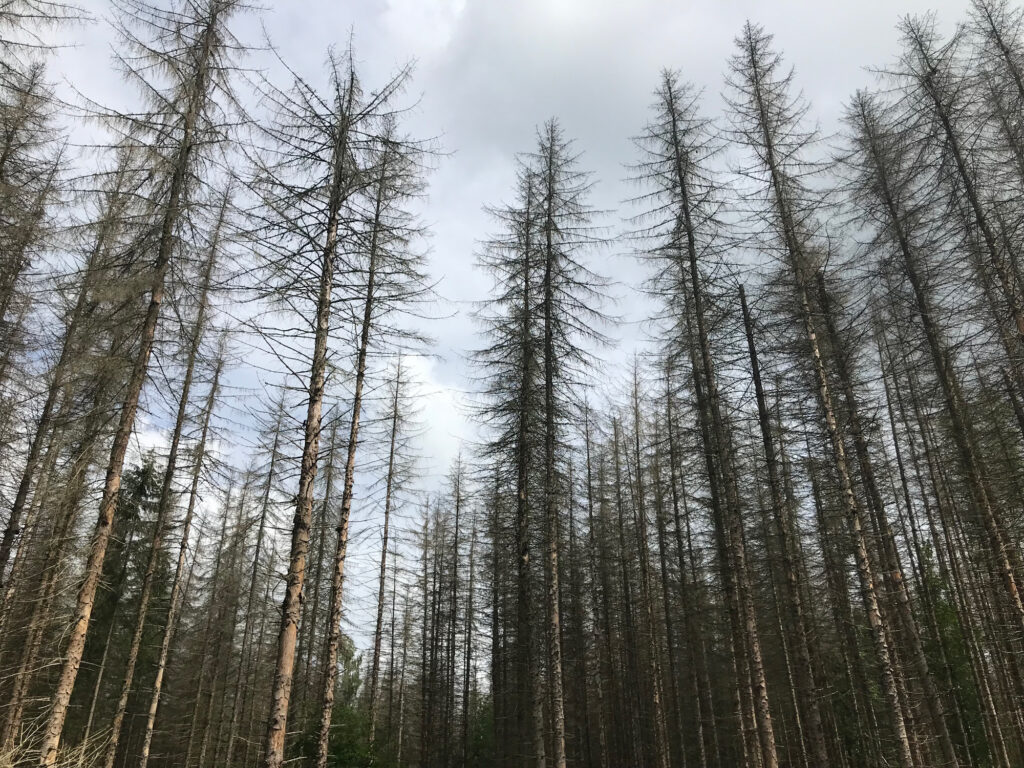Klimata pārmaiņas skars ikvienu