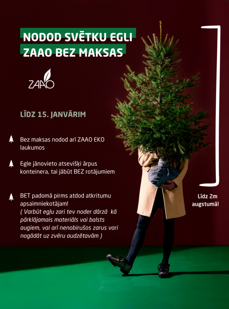 Kur likt eglīti pēc svētkiem?