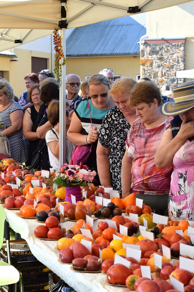Lai dzīvo tomāts un viņa audzētājs!