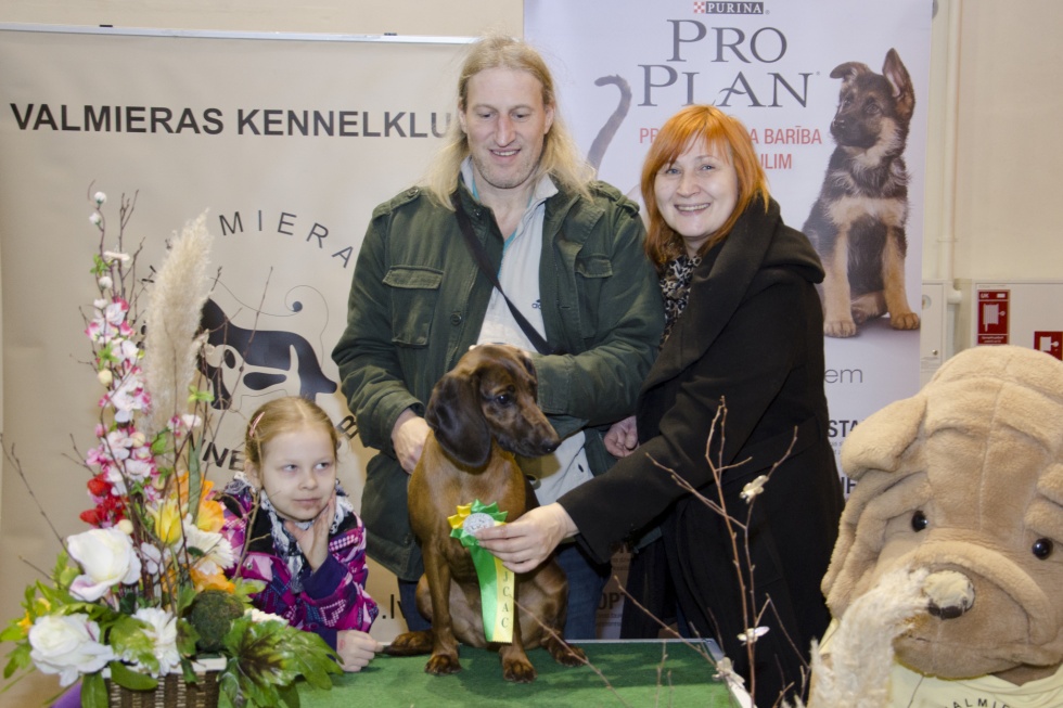 Lakiju iemīlējis pat vecais runcis Rūdis
