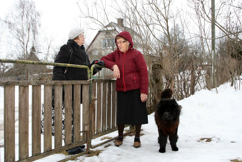 Lieli tēriņi par mīluļiem