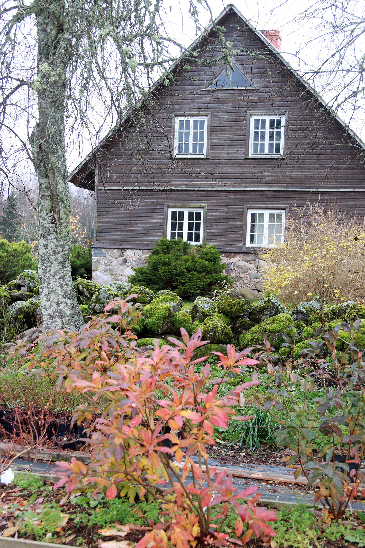 «Livo» – veselīgo dzērienu darītava