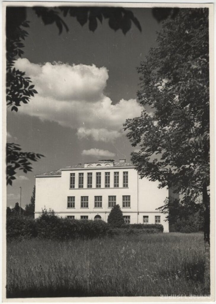 Mazs cinītis