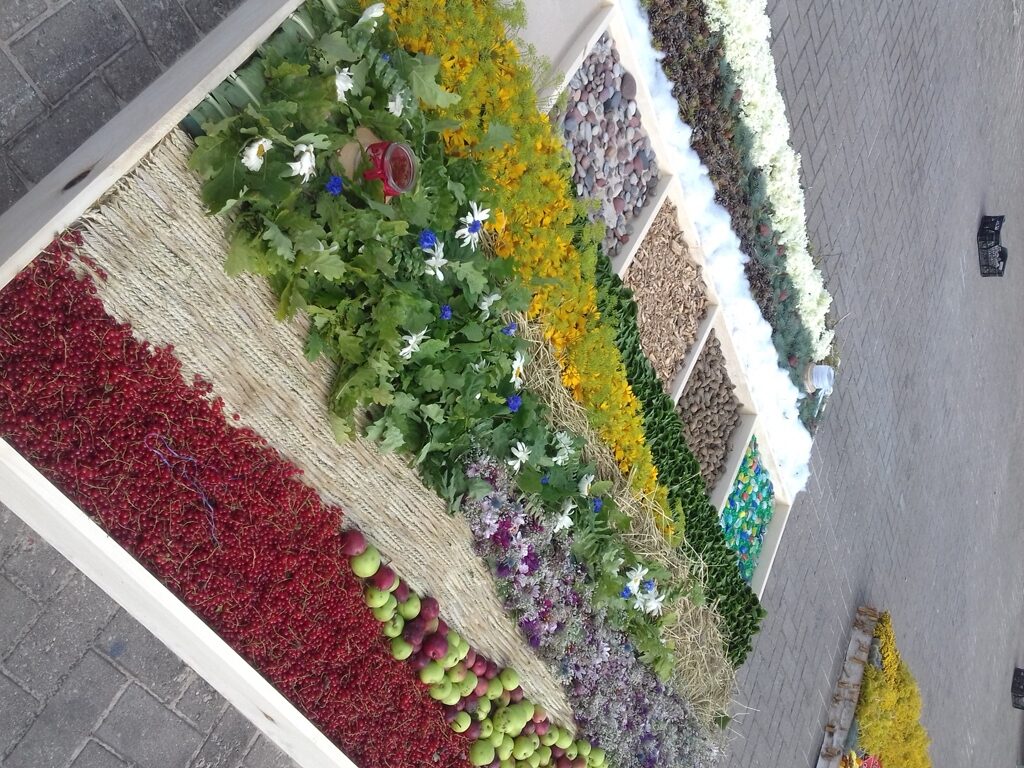 Naukšēniešu ziedu paklājs festivālā Ventspilī