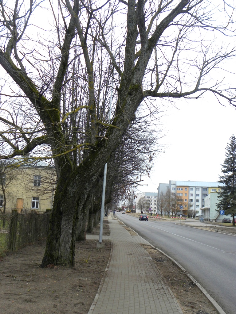 Ornitoloģiski šmucīgas darīšanas