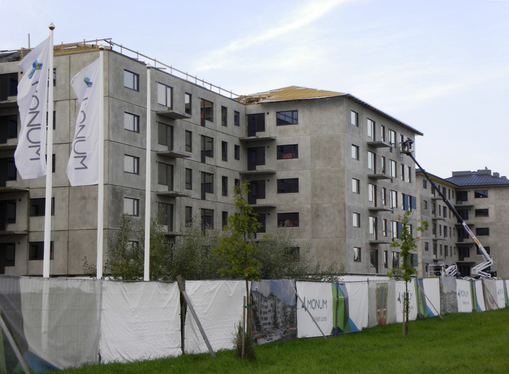 Ozolā spriež par valstiskām un lokālām problēmām