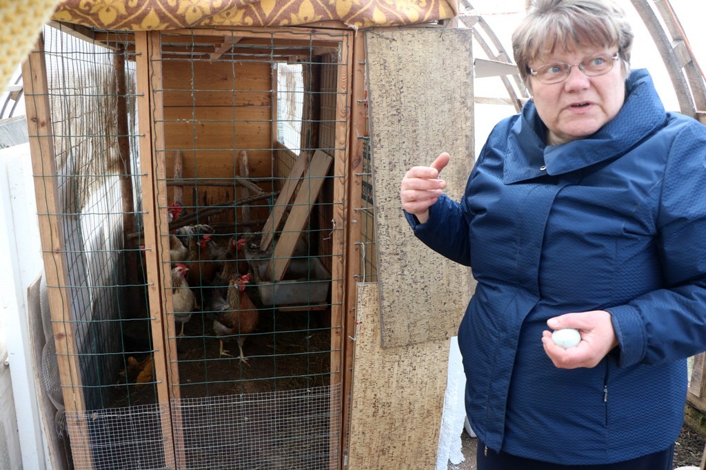 Par mājputniem un olām pirms Lieldienām