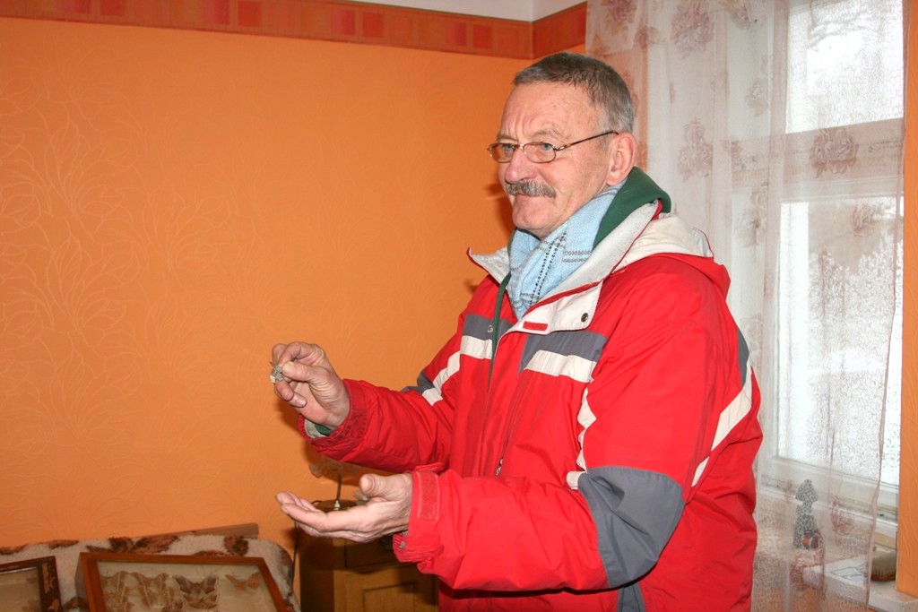 Par tauriņu kolekcijām un to vērtībām