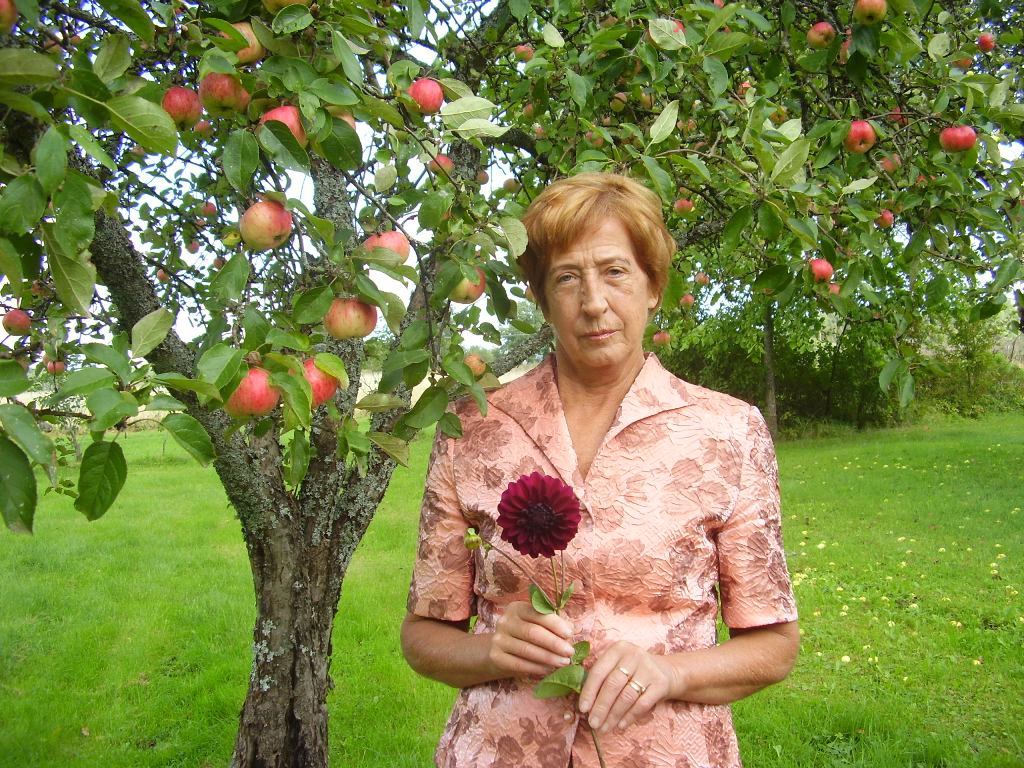 Pensionāri plāno darāmo