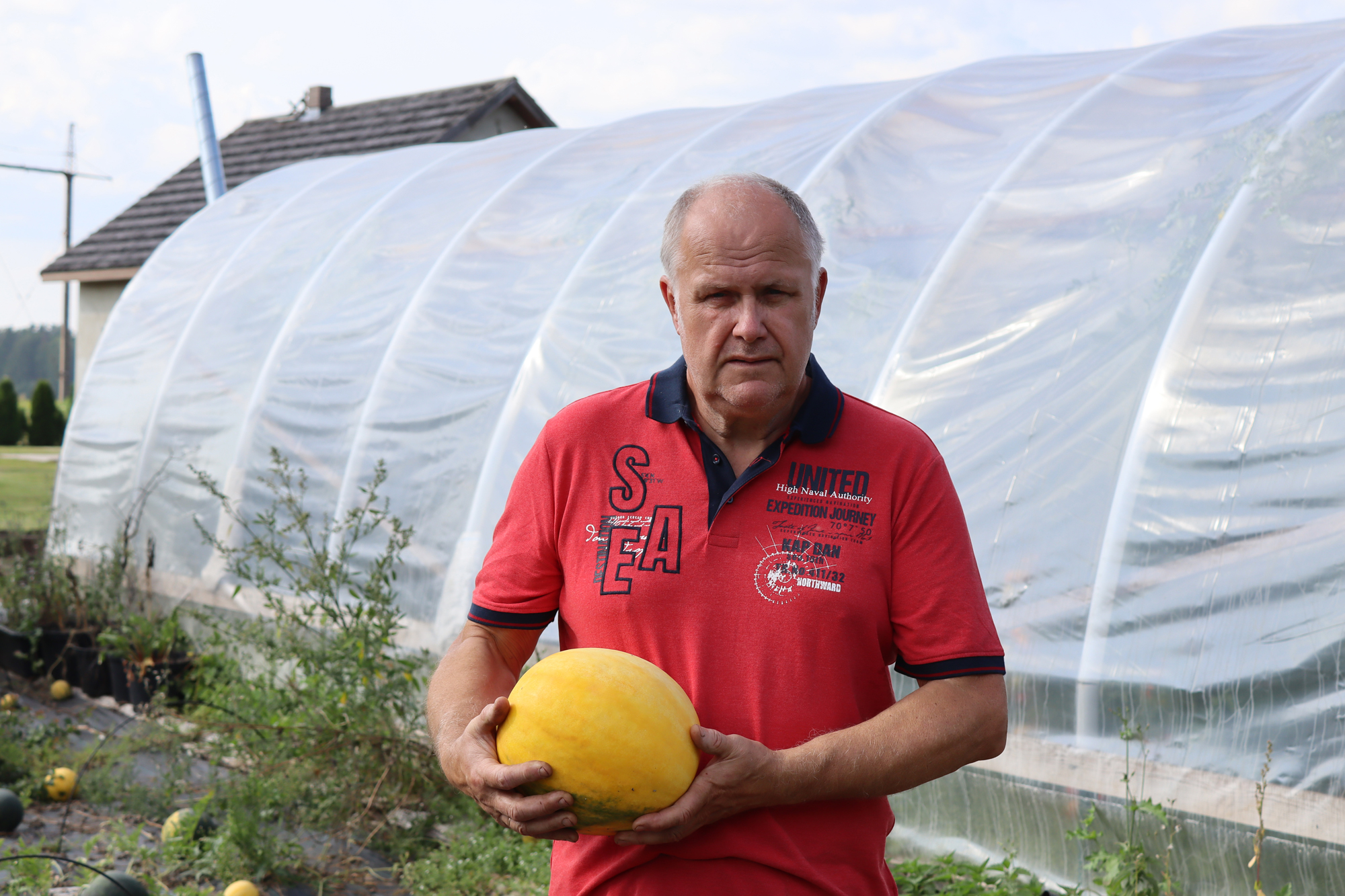 Pirmie arbūzi un melones