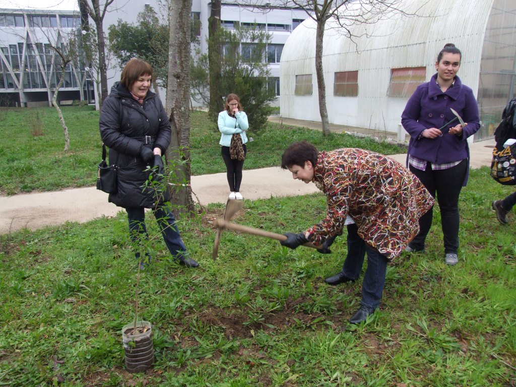 Projekts, siltums un apelsīni