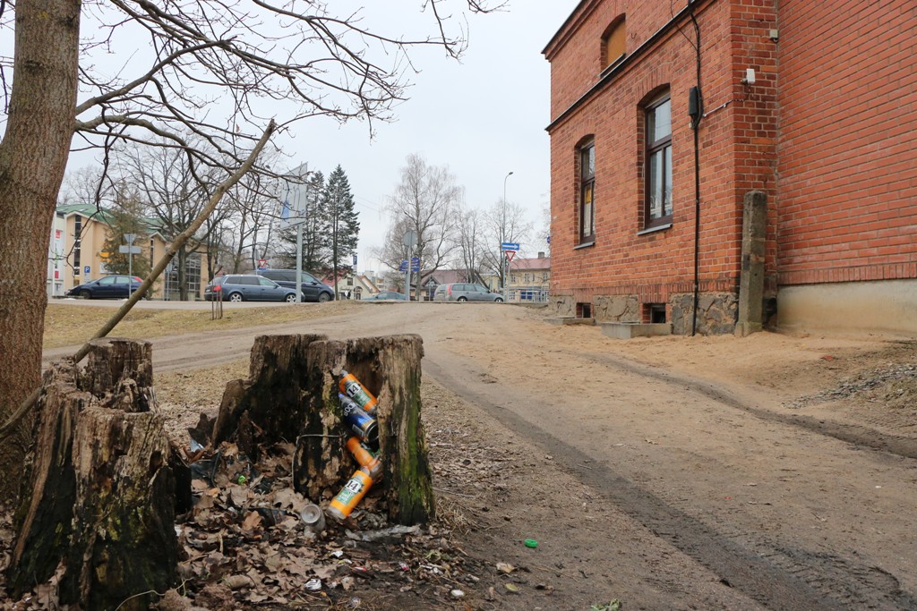 Publiskā cūkkūts