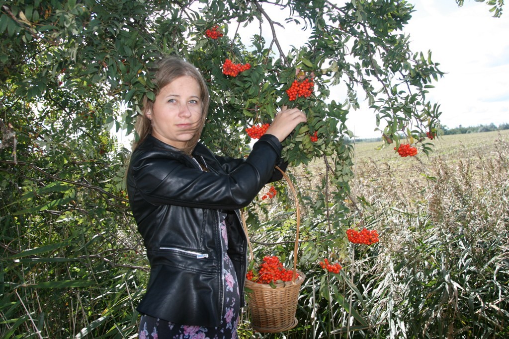 Sacensību laiks pēc pīlādžogām