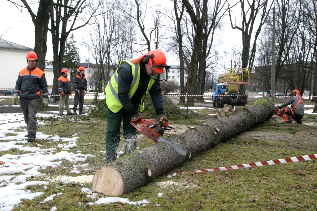 Sākusies Vecpuišu parka sakopšana