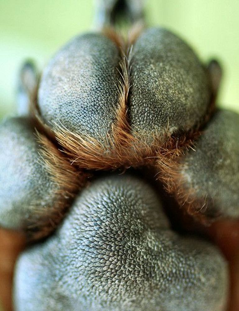 Sāļās pastaigas
