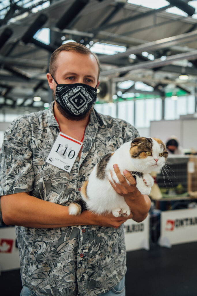 Sapņi piepildās! Kā nevainīgs sapnis kļūst par realitāti?