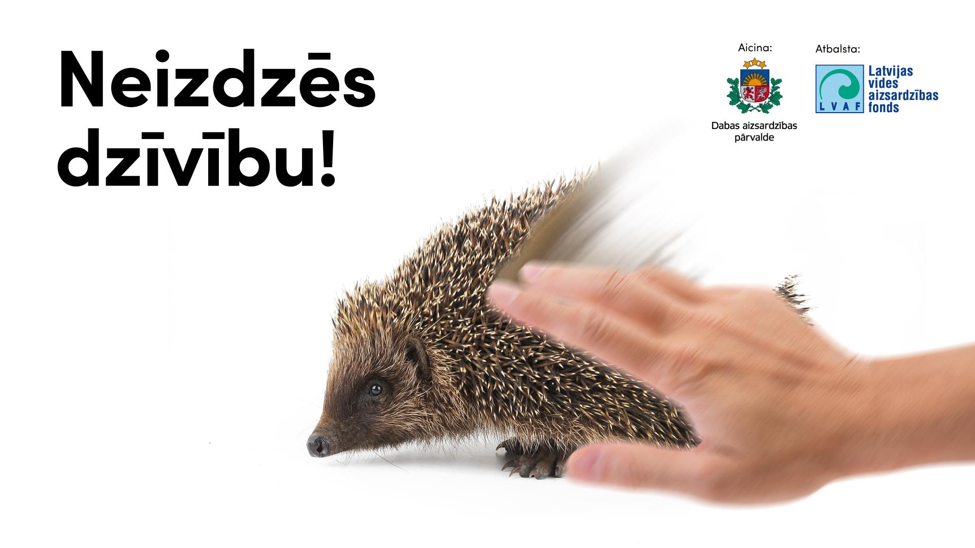 Savvaļas dzīvnieku dzīves pamatlikumu ievērojot