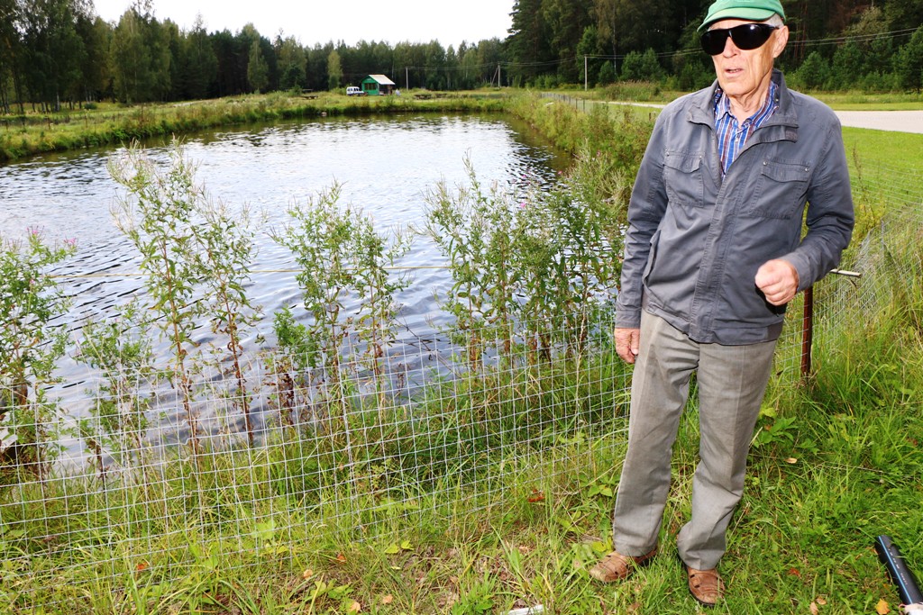 «Sillakas», kur viss radīts mierīgai atpūtai