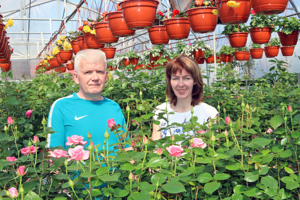 Stādaudzētavai 7 rozes – septiņpadsmitais pavasaris