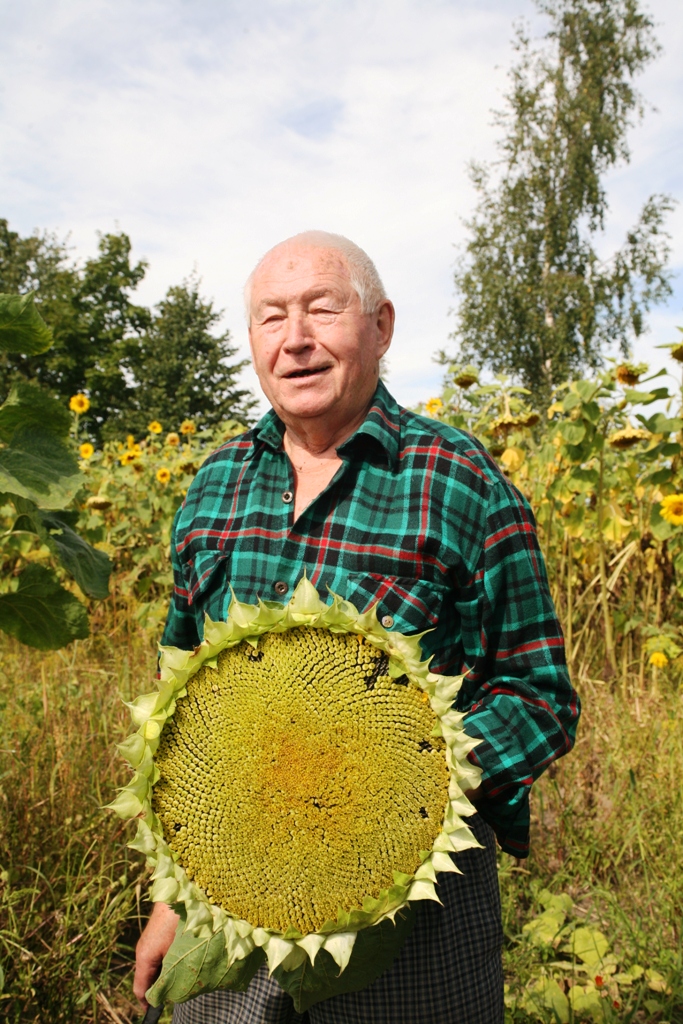 Starp saulespuķēm, putniem un bitēm