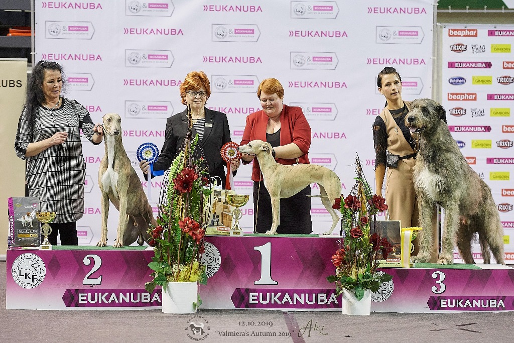 Suņi piedzīvo slavas mirkļus