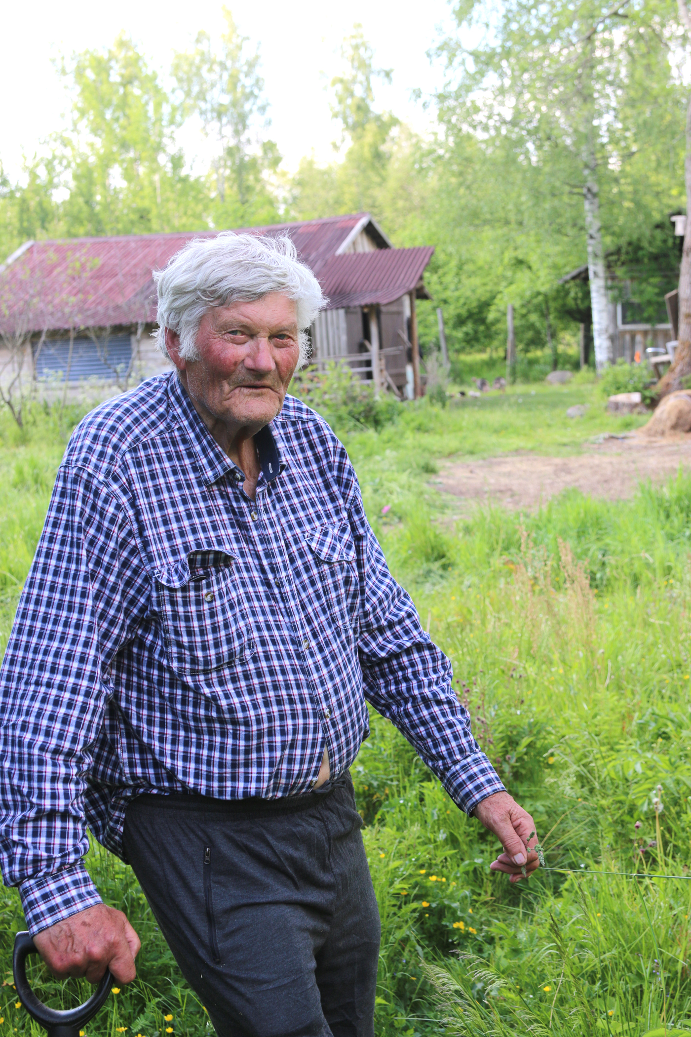 Tītaru saimniecība