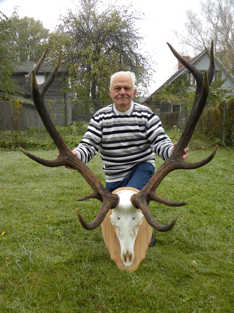 Un tad no meža iznāca zelta bullis…
