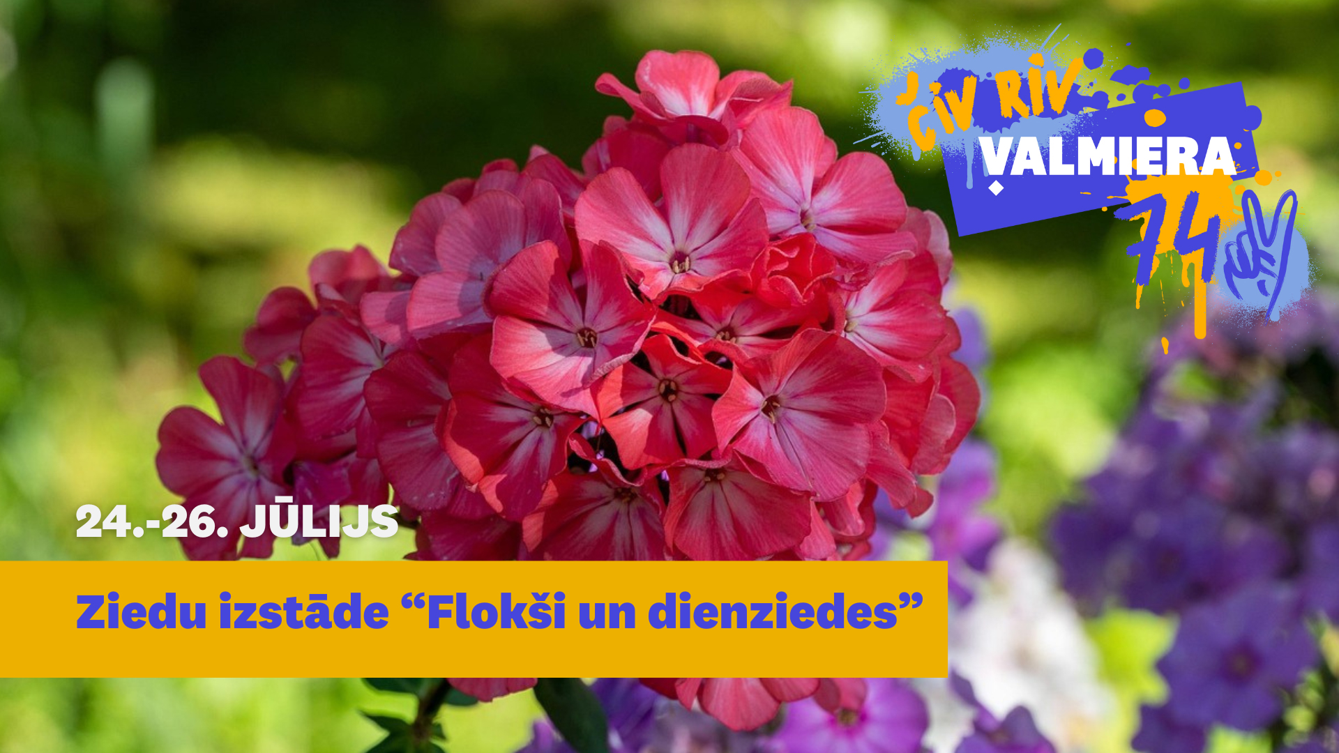 Valmieras muzeja Garšaugu dārzā būs skatāma ziedu izstāde «Flokši un dienziedes»