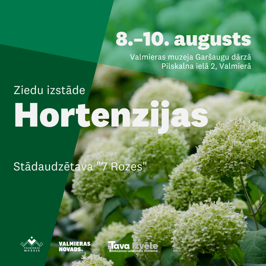 Valmieras muzeja Garšaugu dārzā būs skatāma ziedu izstāde «Hortenzijas»